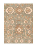 Area Rug 1338