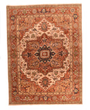 Area Rug 1388