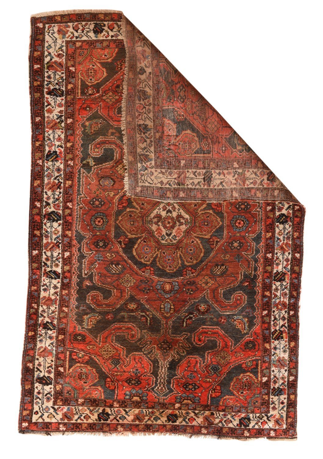Area Rug 1398