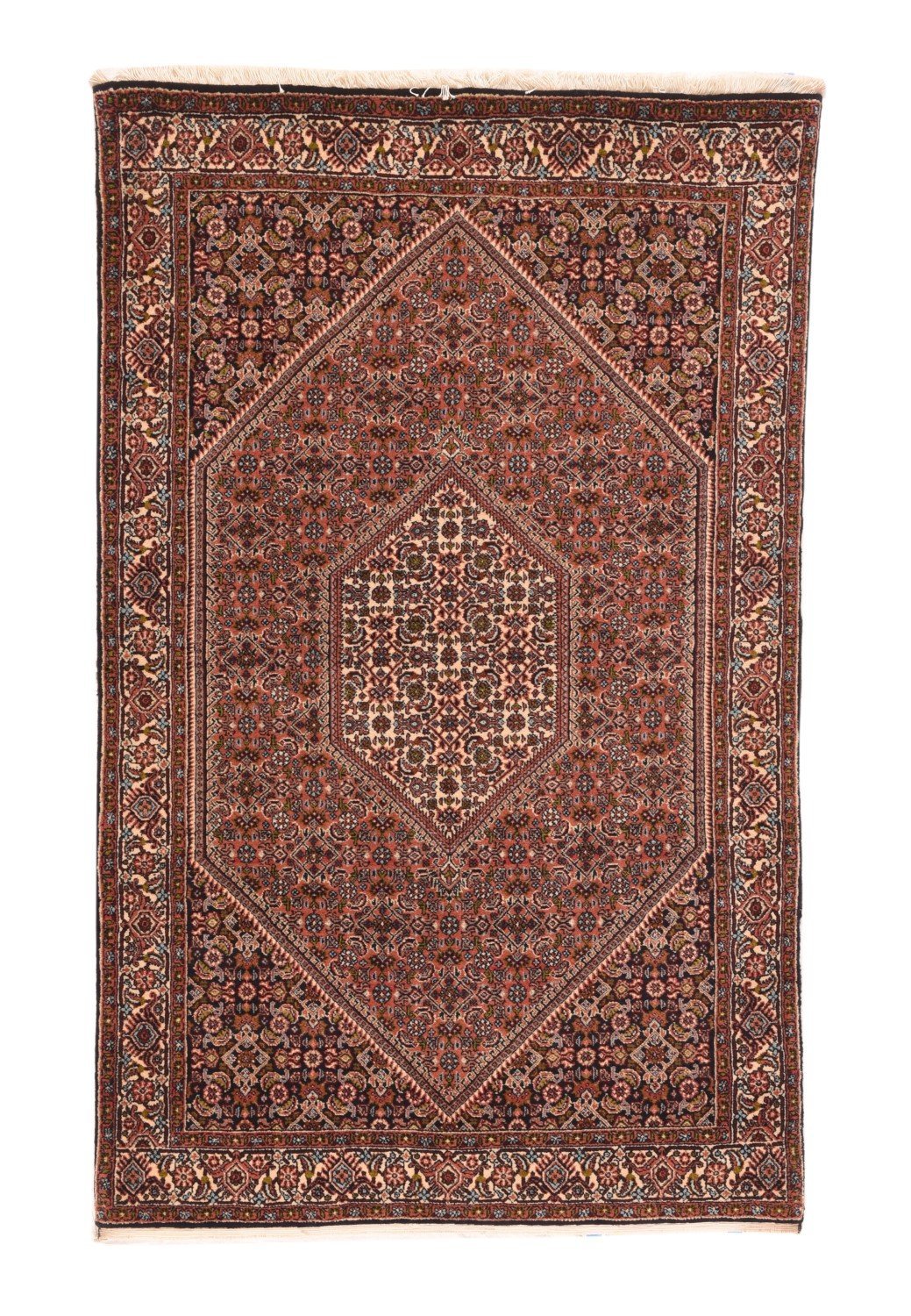 Area Rug 1411