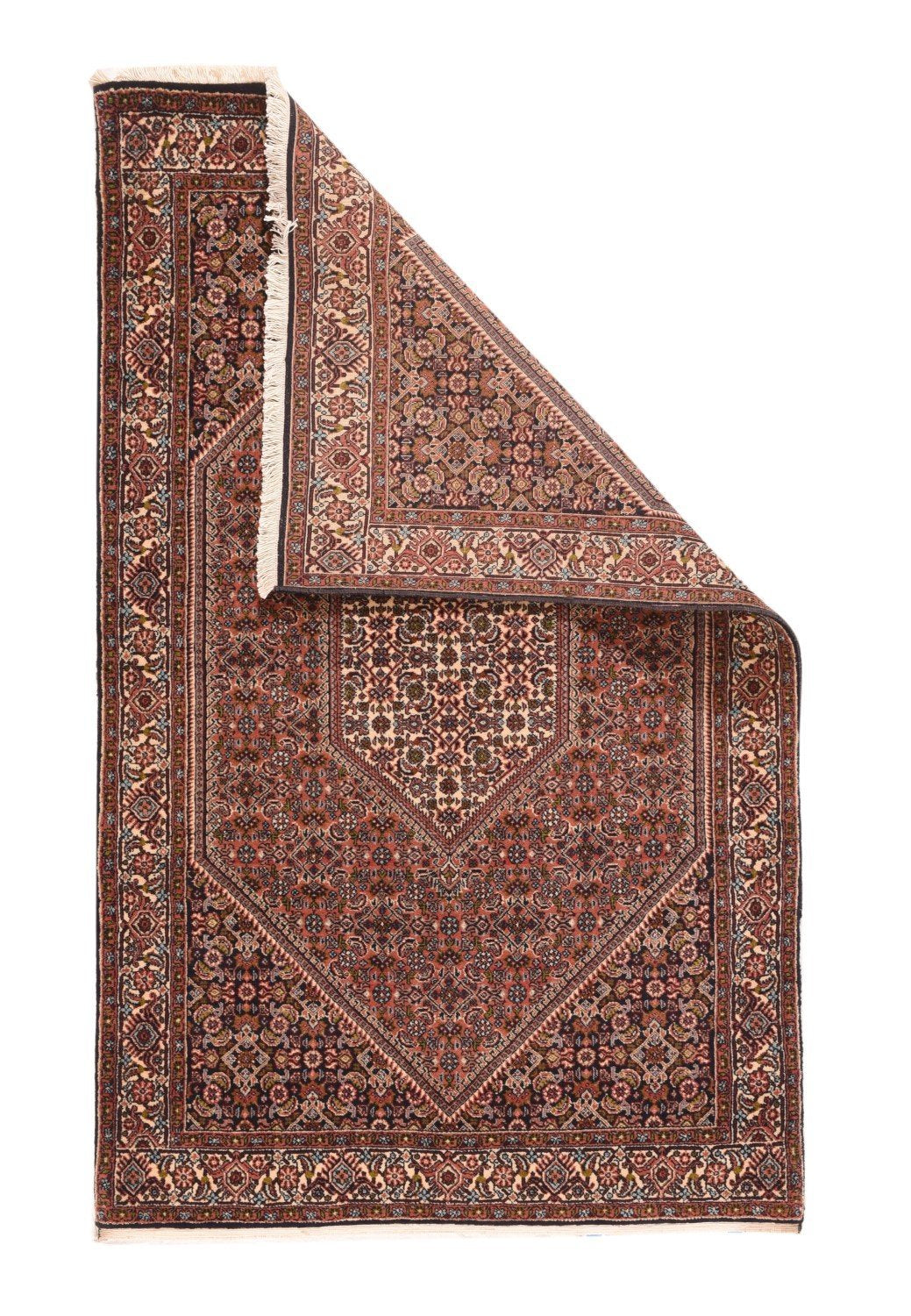 Area Rug 1411