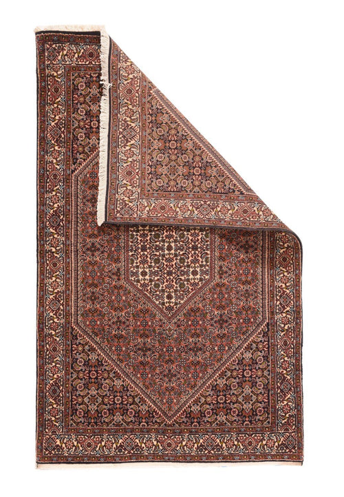 Area Rug 1411