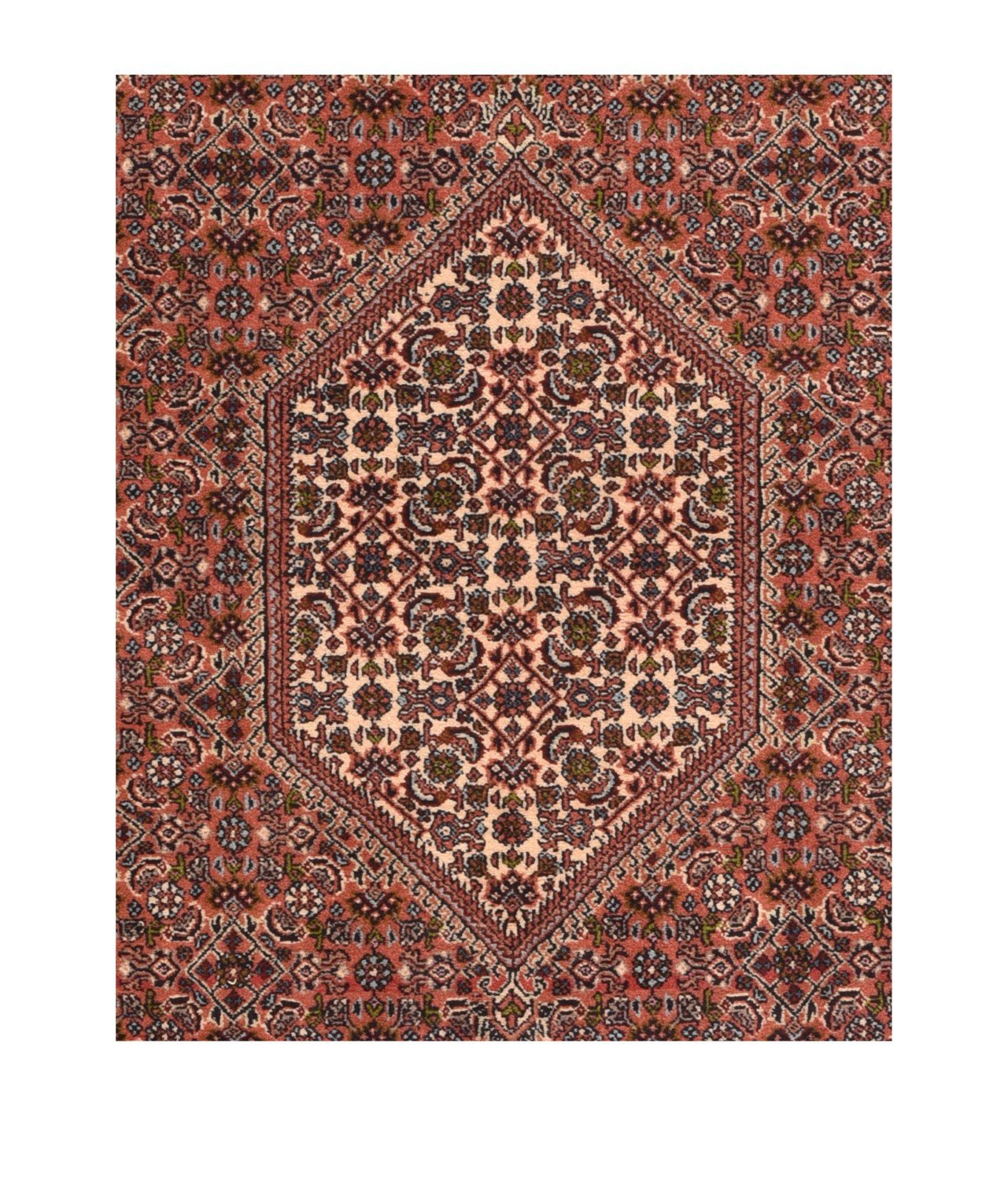 Area Rug 1411