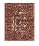 Area Rug 1411