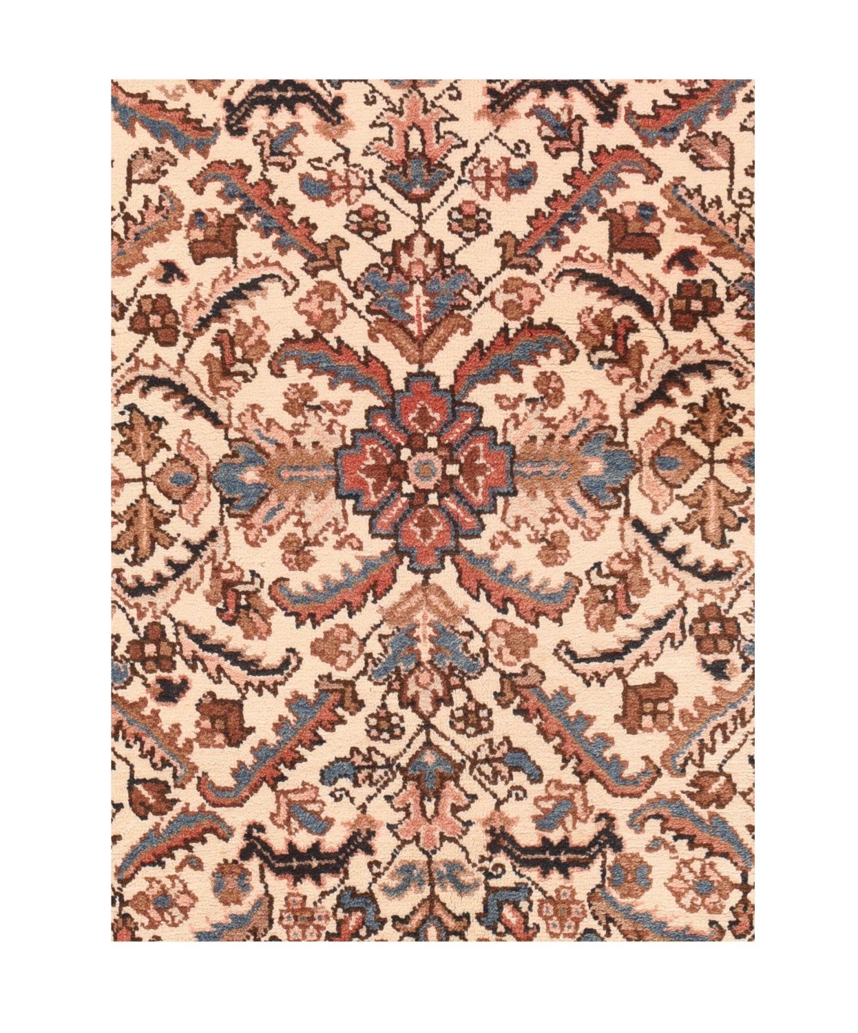 Area Rug 1434