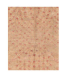 Area Rug 1437