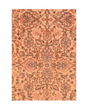 Area Rug 1442