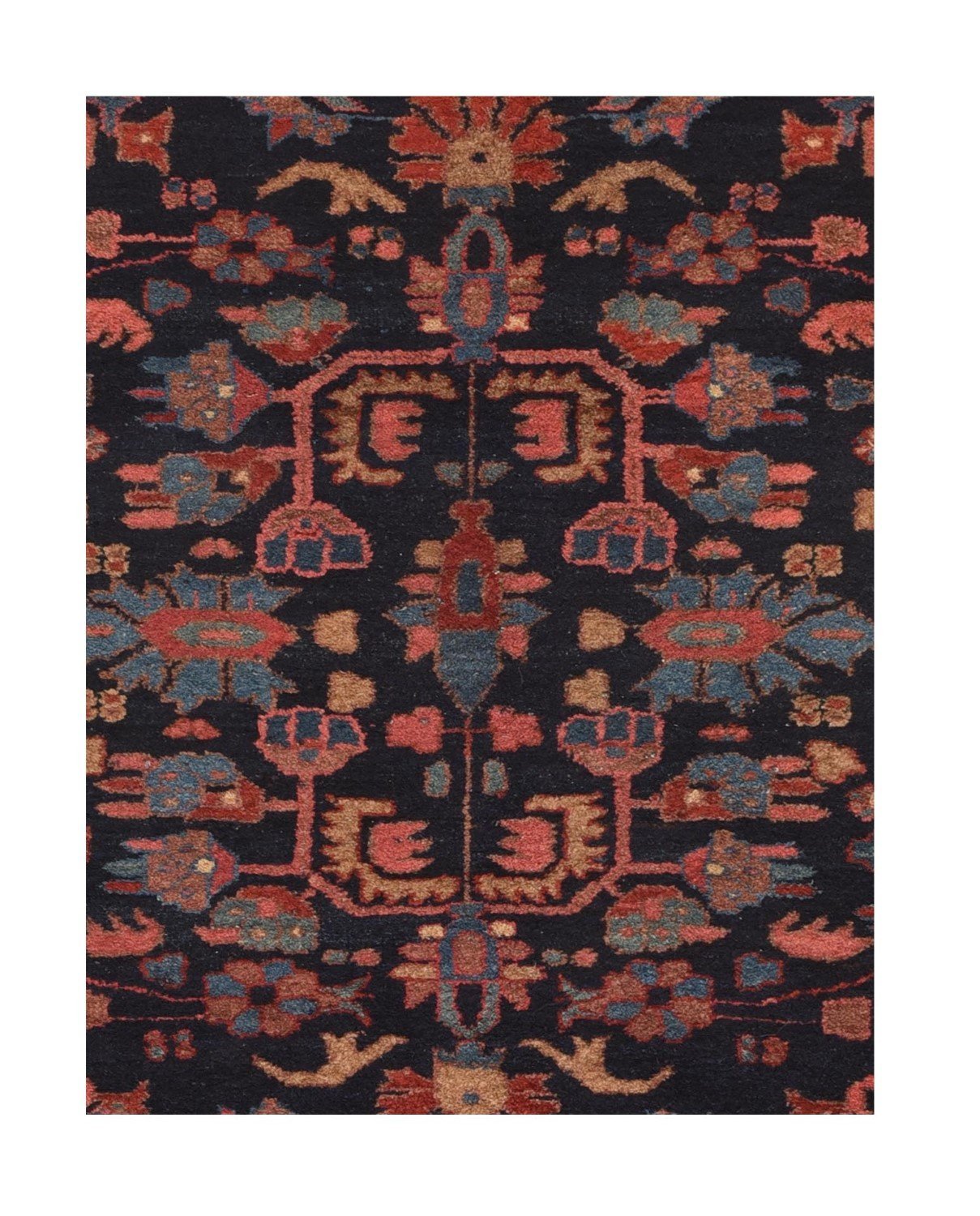 Area Rug 1446