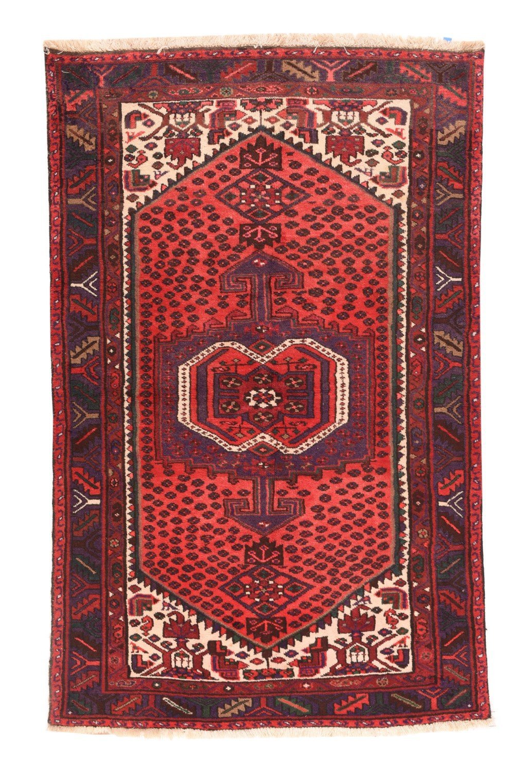 Area Rug 1456