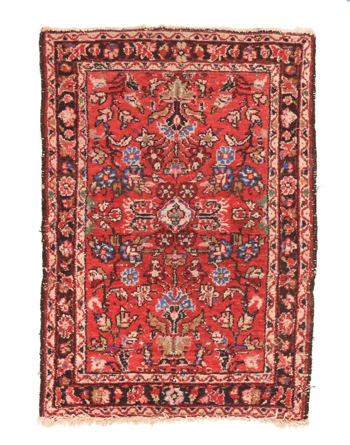 Area Rug 1460