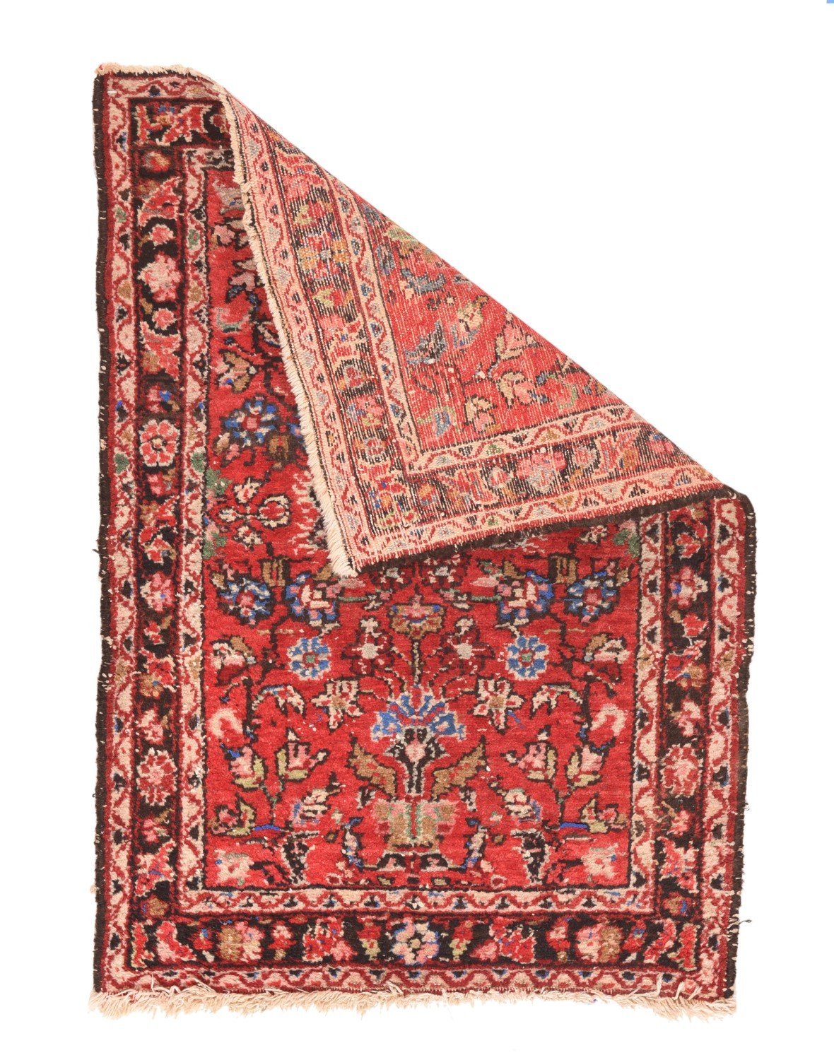 Area Rug 1460