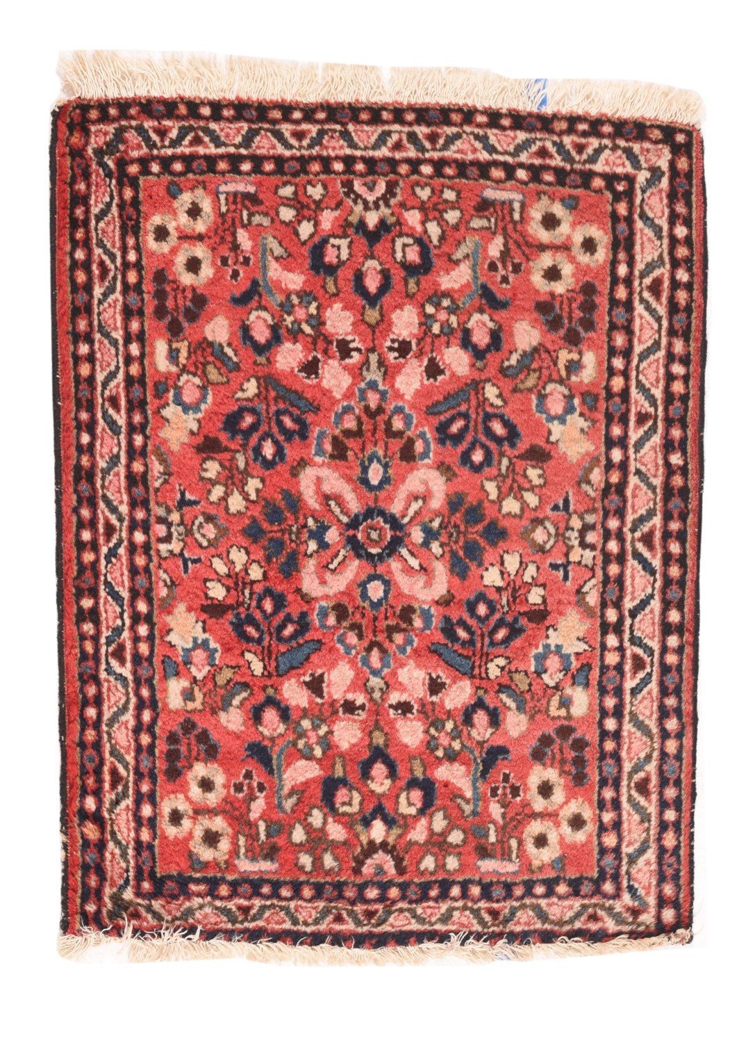Area Rug 1461