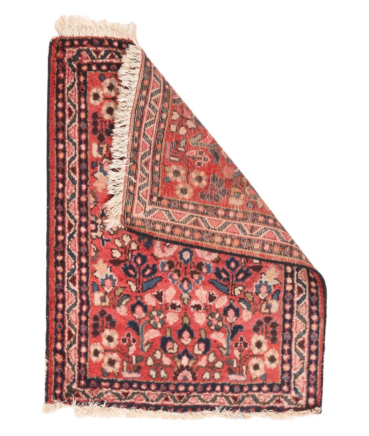 Area Rug 1461