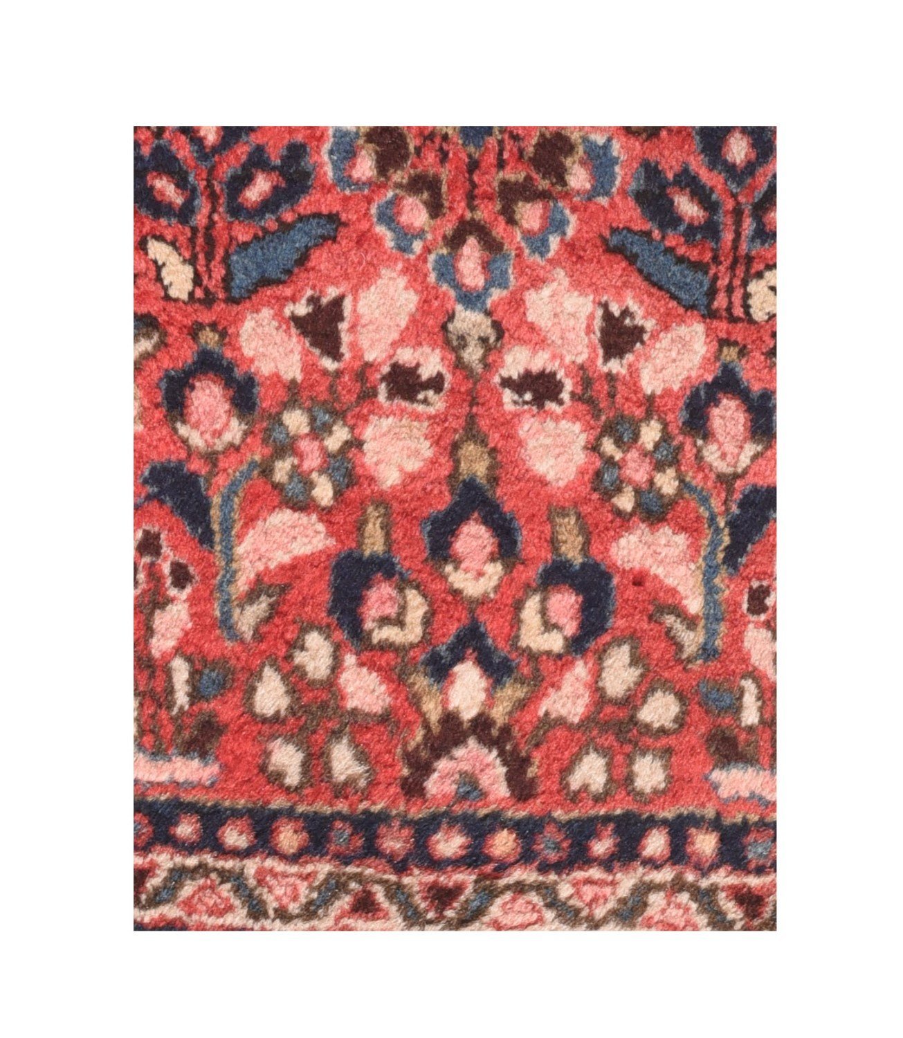 Area Rug 1461