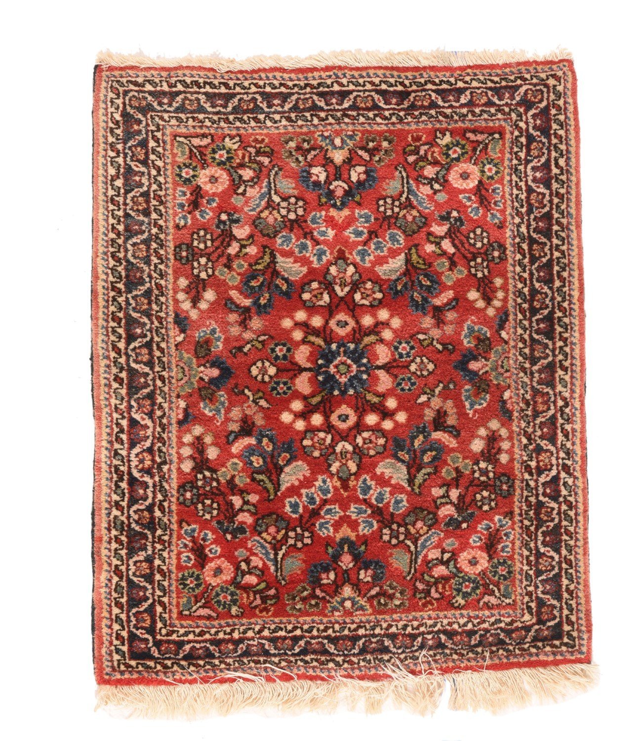 Area Rug 1466