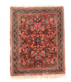 Area Rug 1466