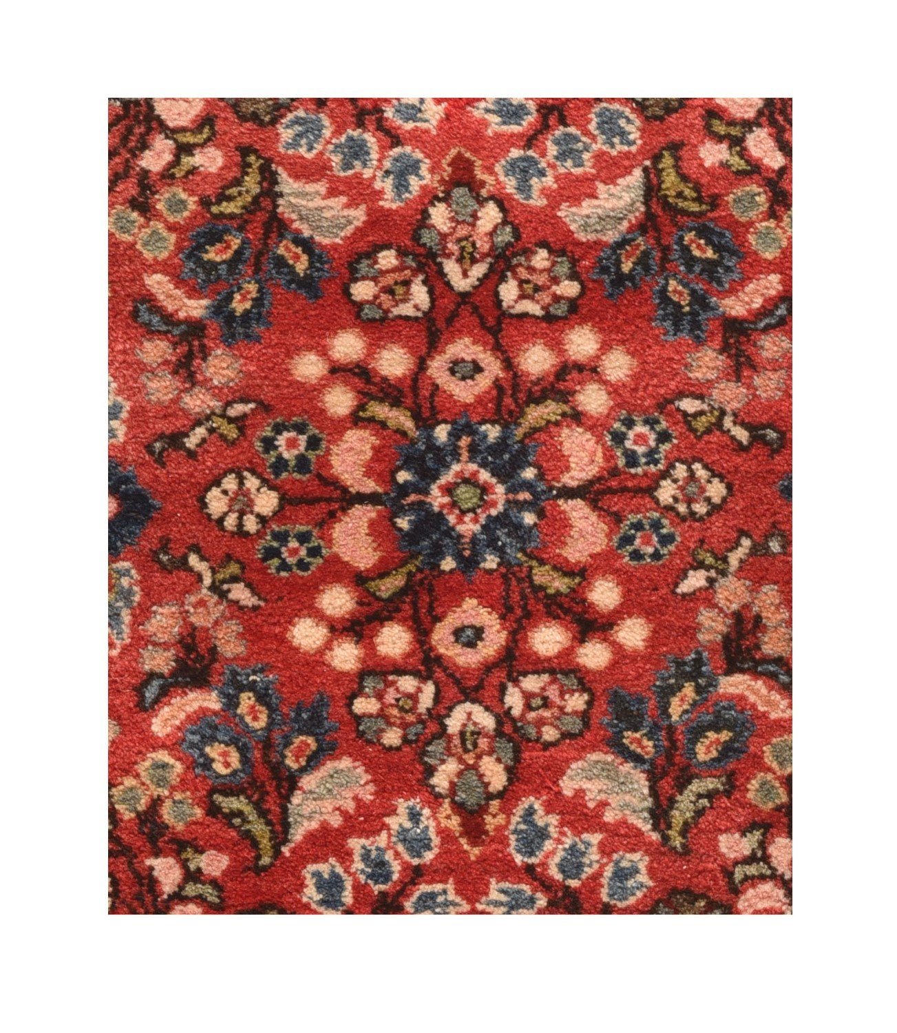 Area Rug 1466