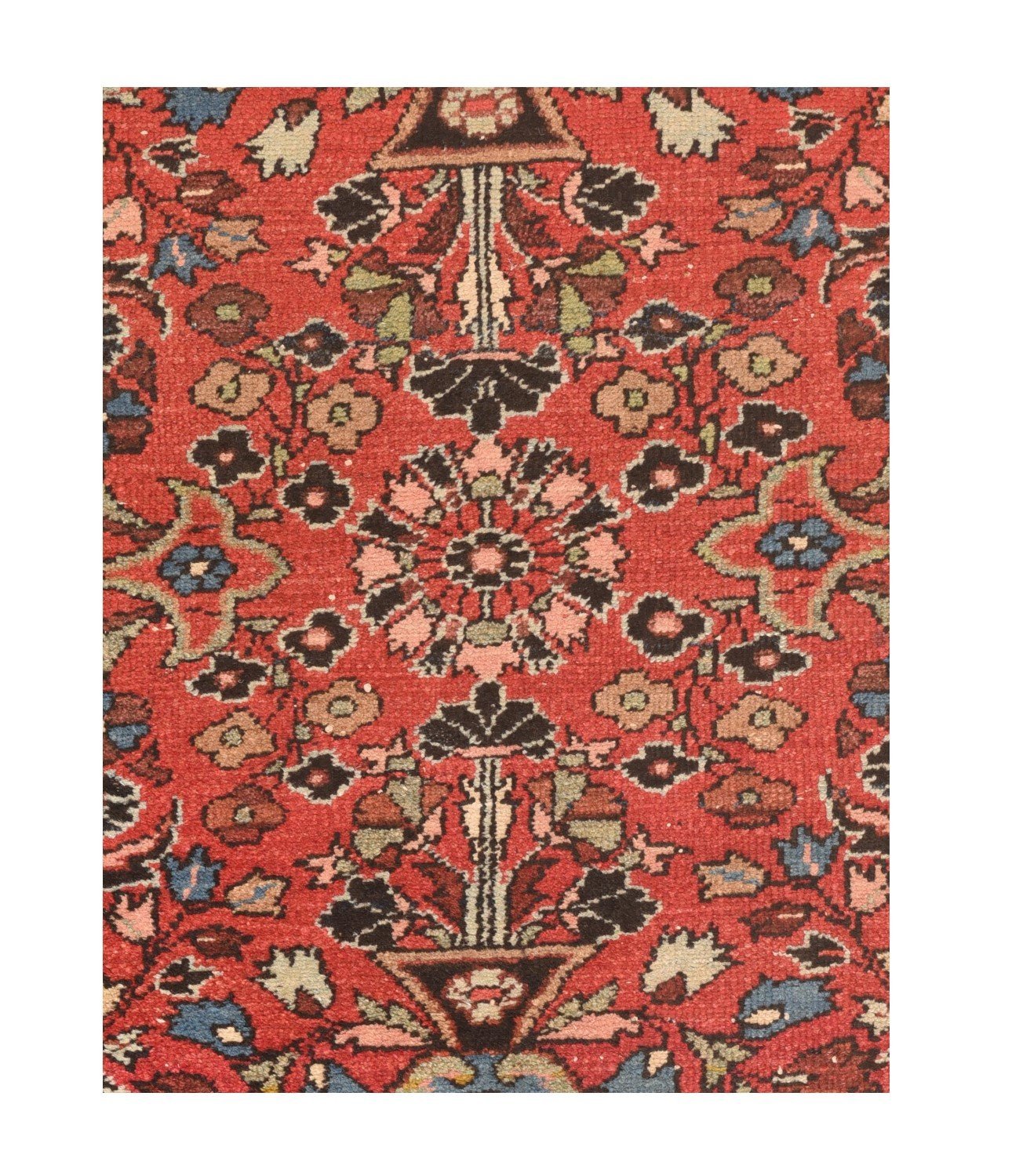 Area Rug 1471