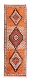 Area Rug 1494