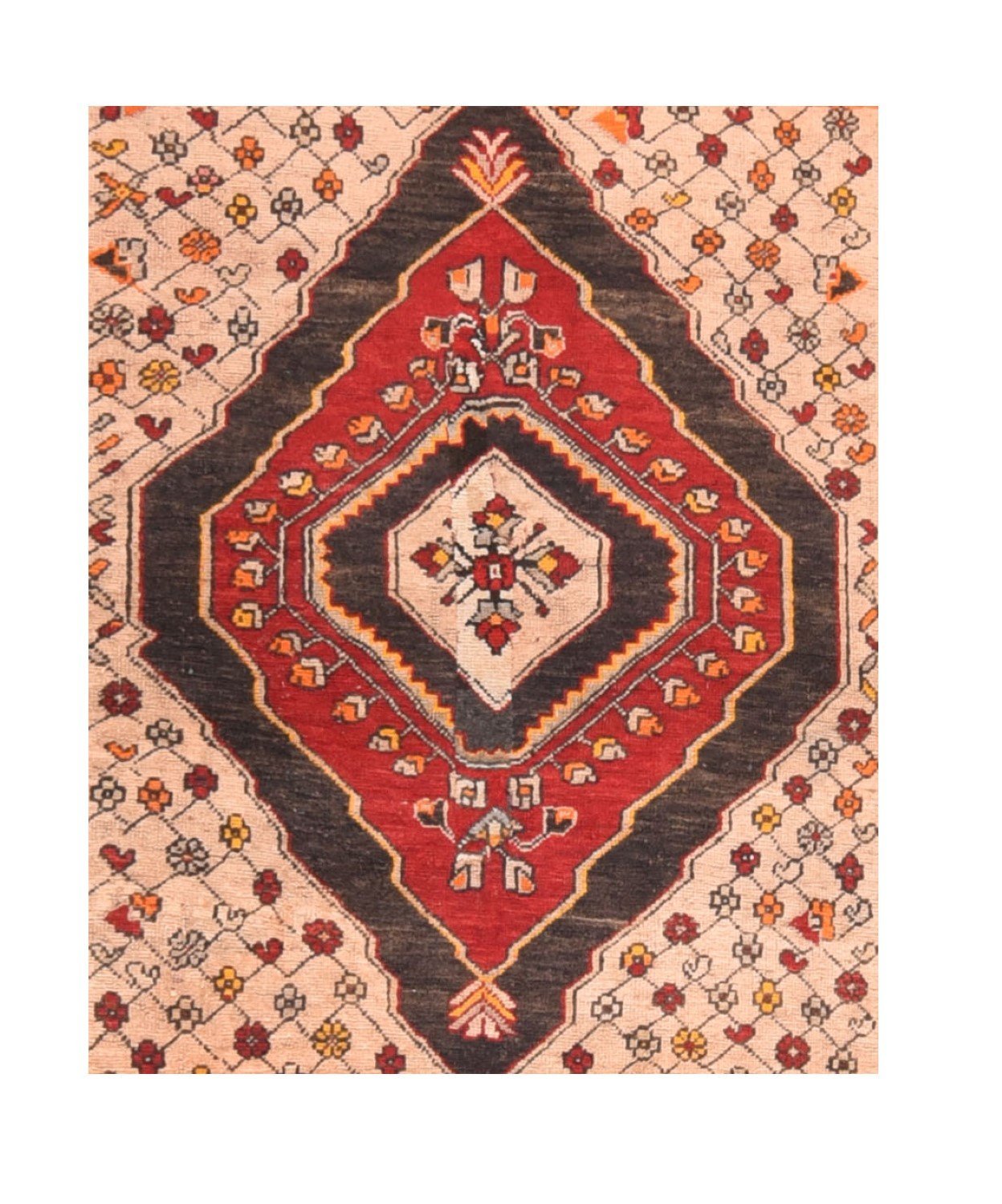 Area Rug 1494