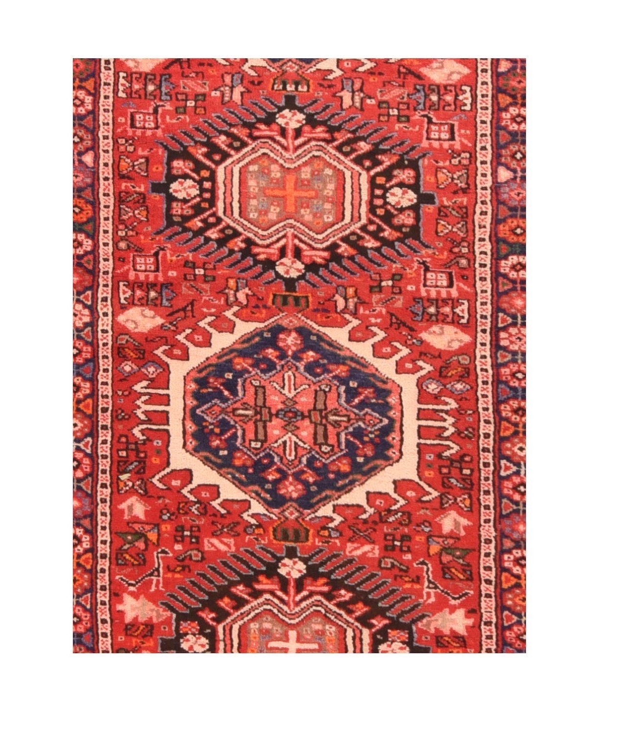 Area Rug 1507