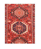 Area Rug 1507