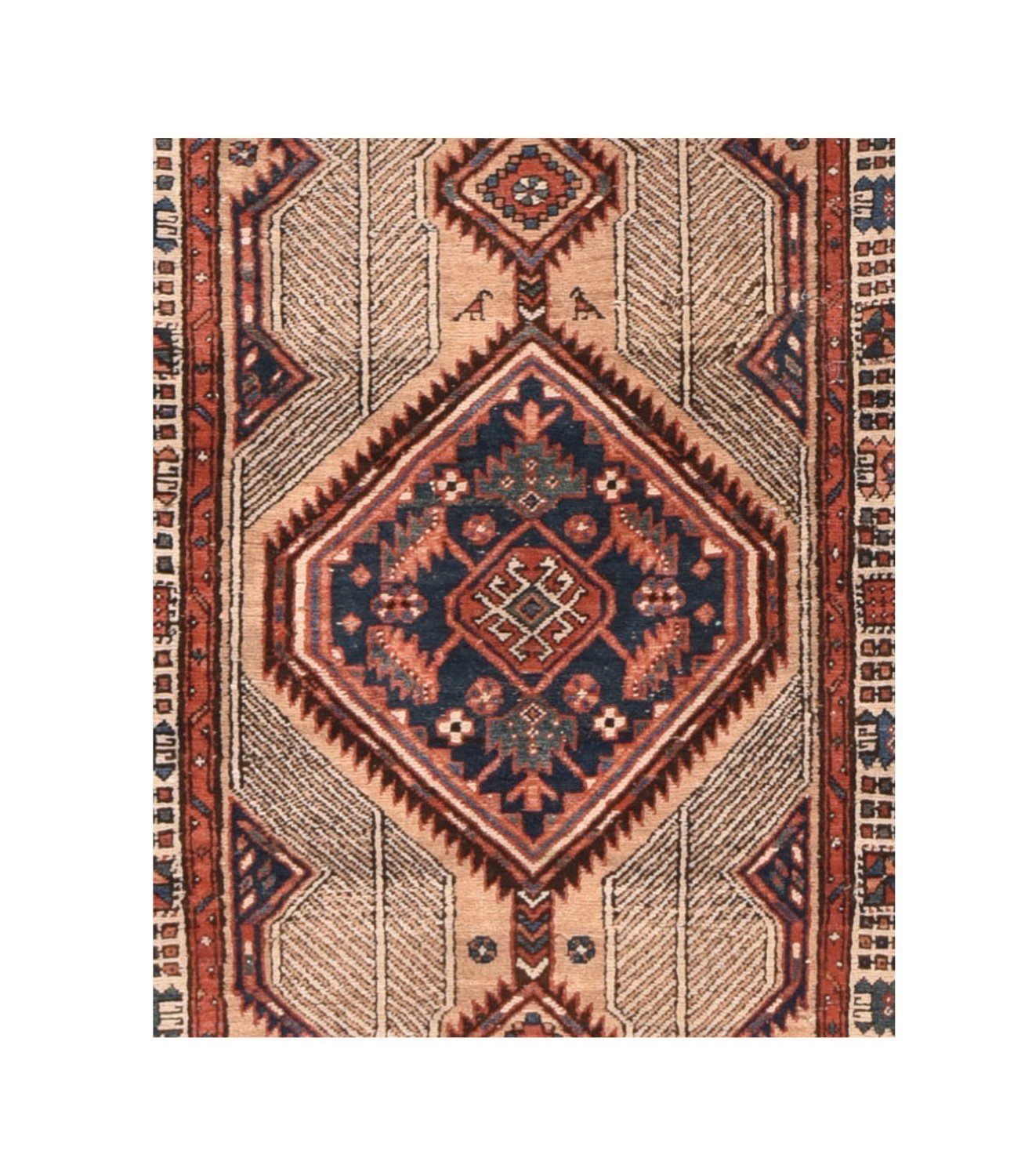 Area Rug 1529