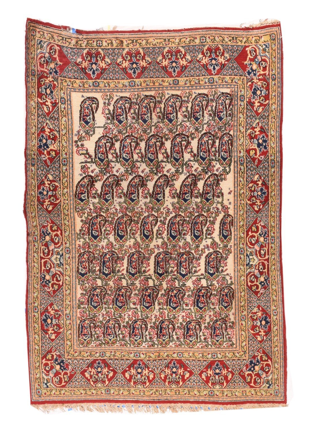 Area Rug 1555