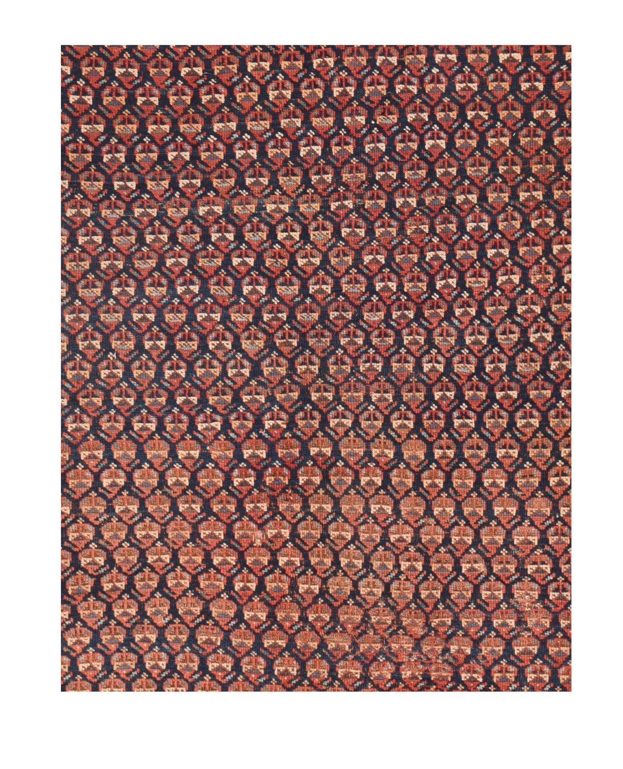 Area Rug 1561