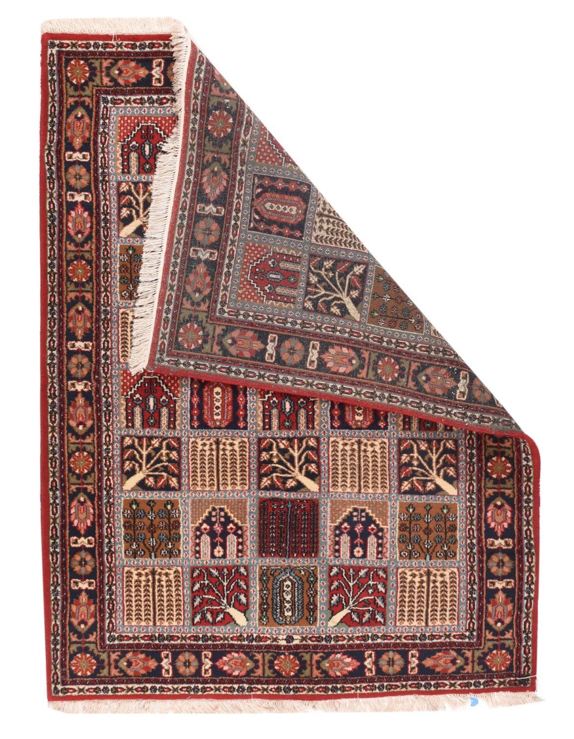 Area Rug 1566