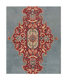 Area Rug 1567