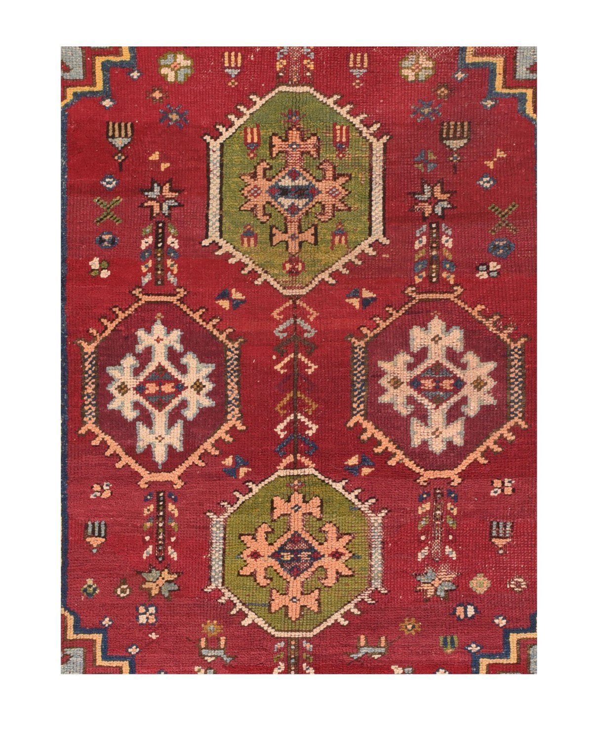 Area Rug 1568