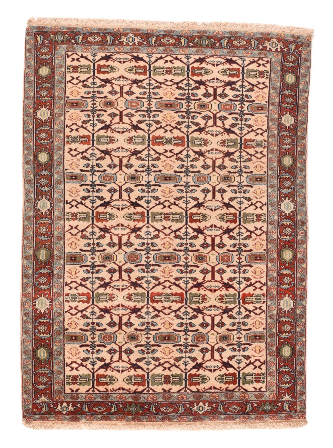 Area Rug 1575