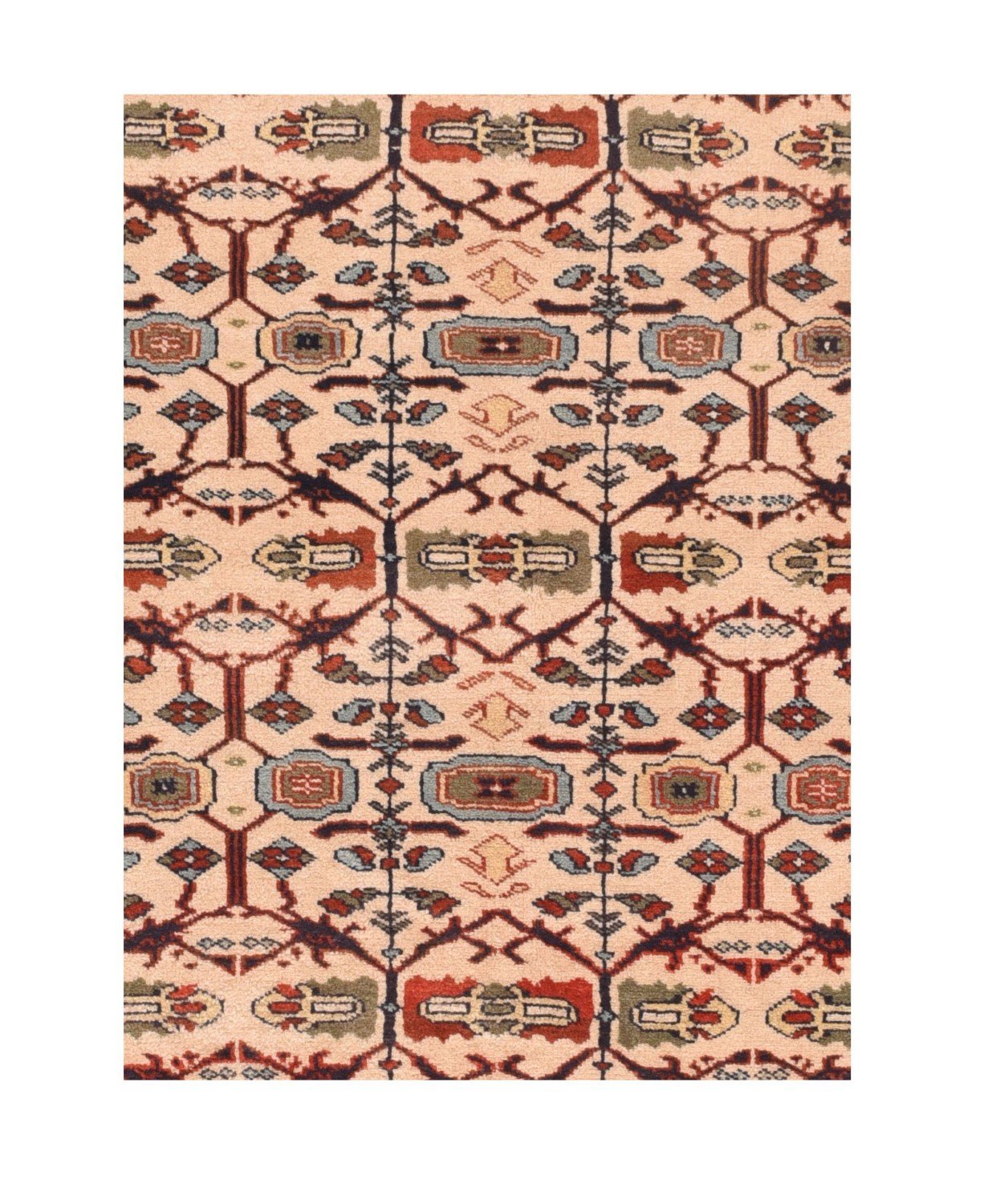 Area Rug 1575