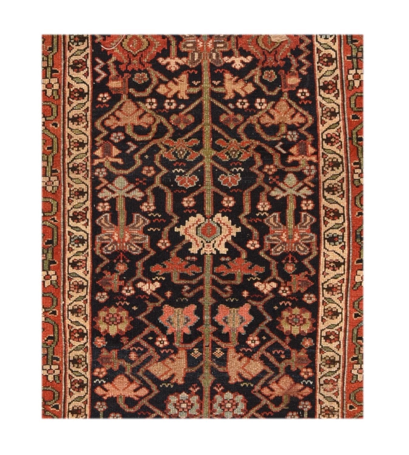 Area Rug 1596