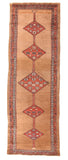 Area Rug 1607
