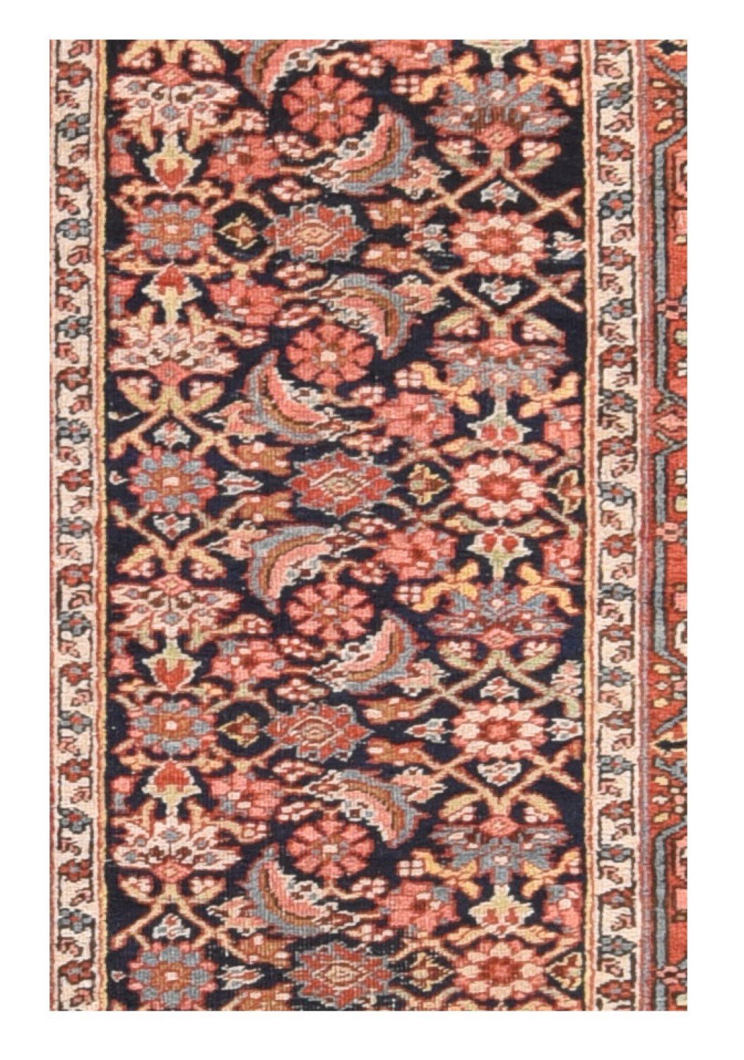 Area Rug 1615