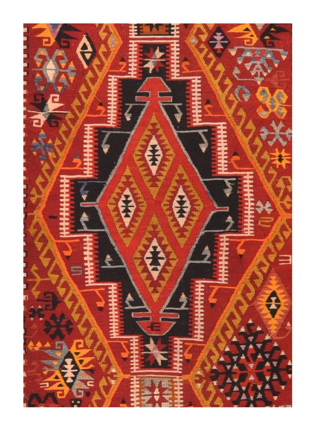 Area Rug 1624