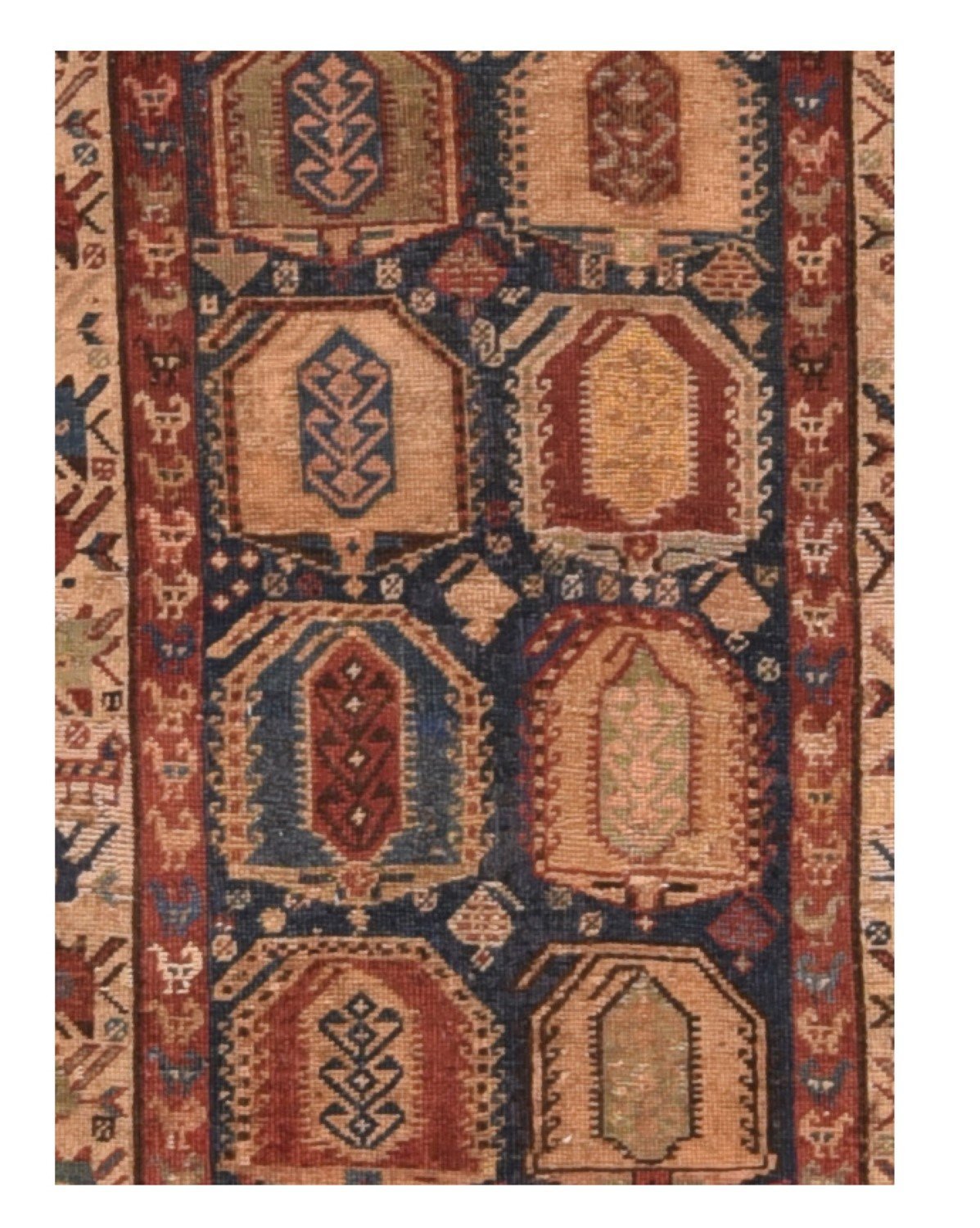 Area Rug 1630