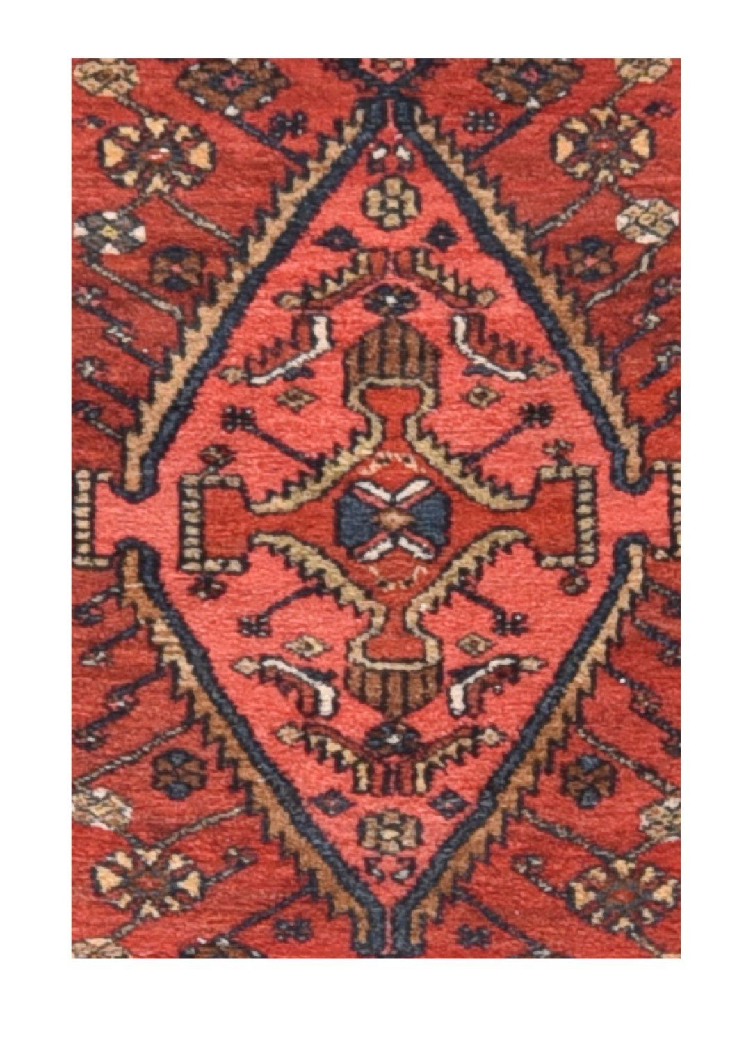 Area Rug 1642