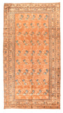 Area Rug 1649