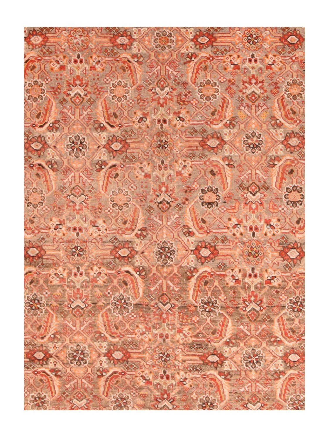 Area Rug 1650