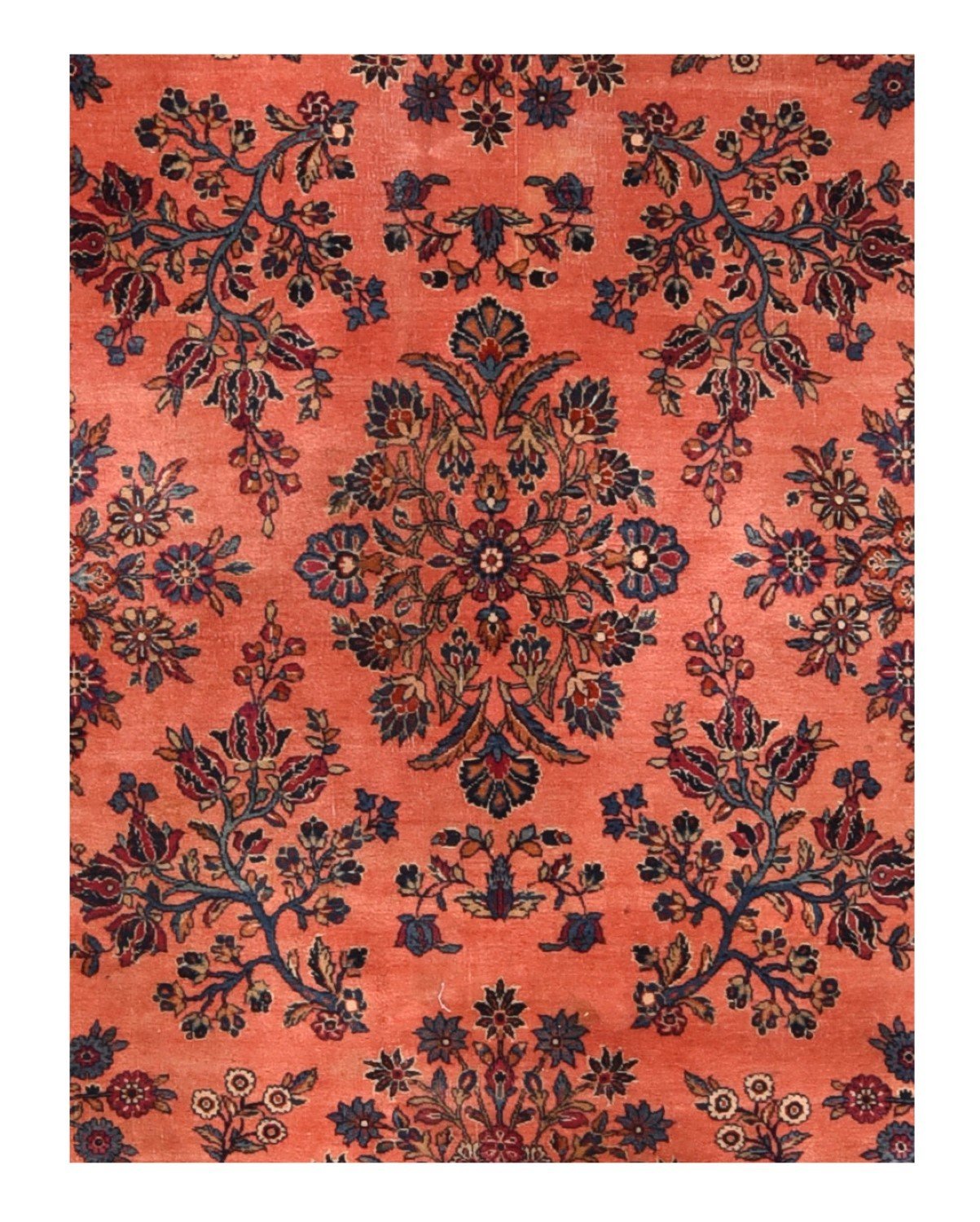 Area Rug 1656
