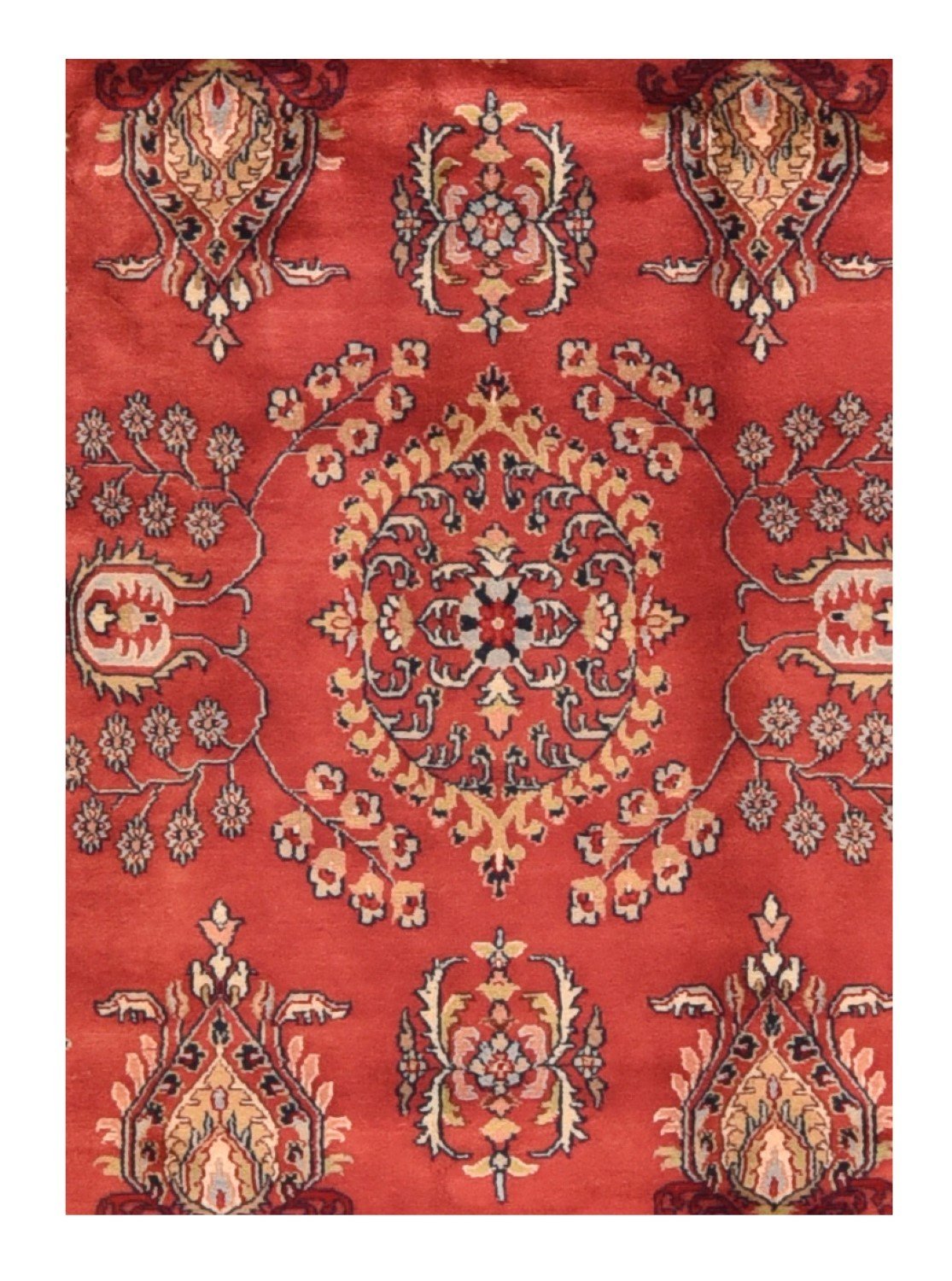 Area Rug 1659