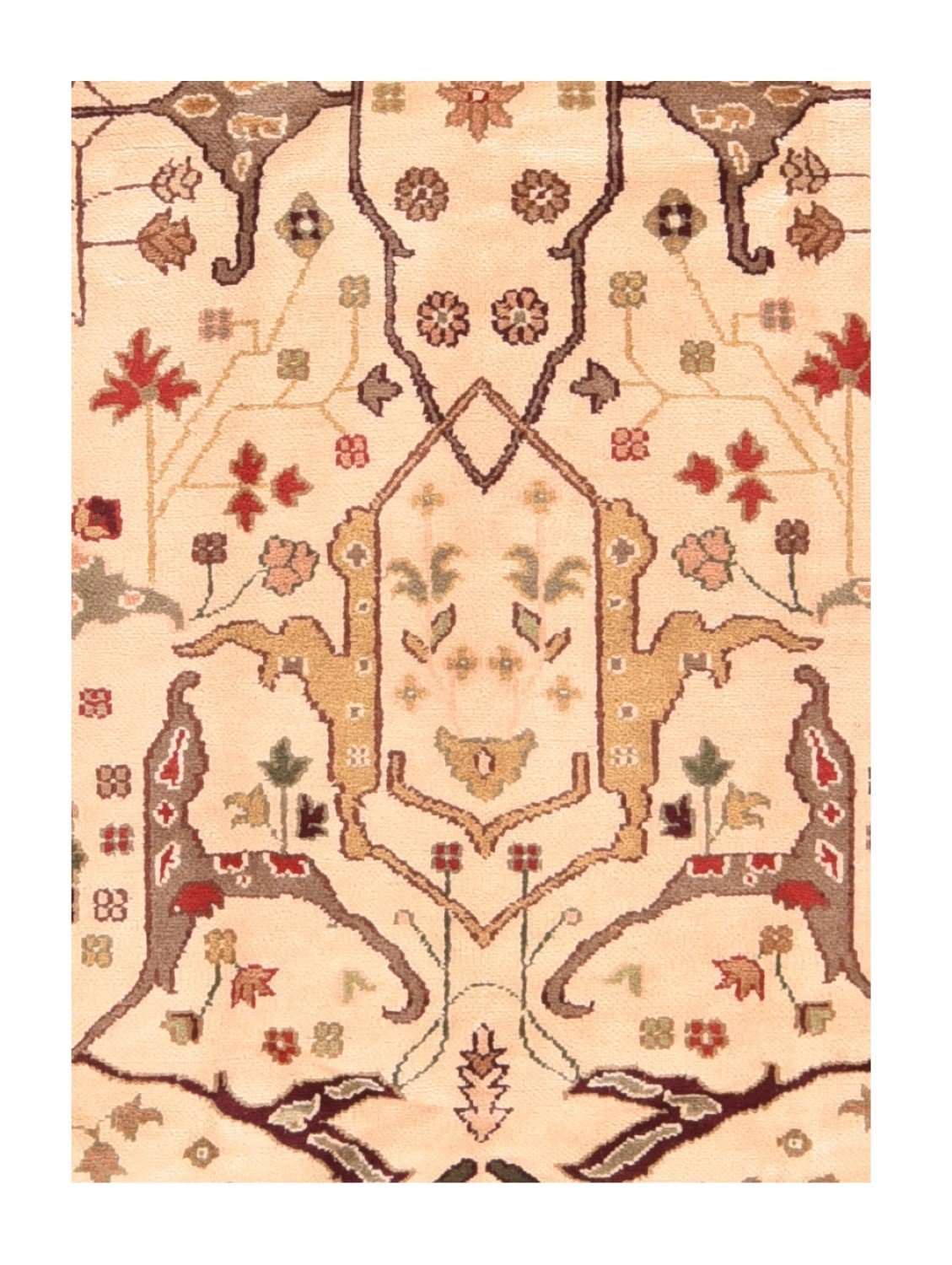 Area Rug 1676