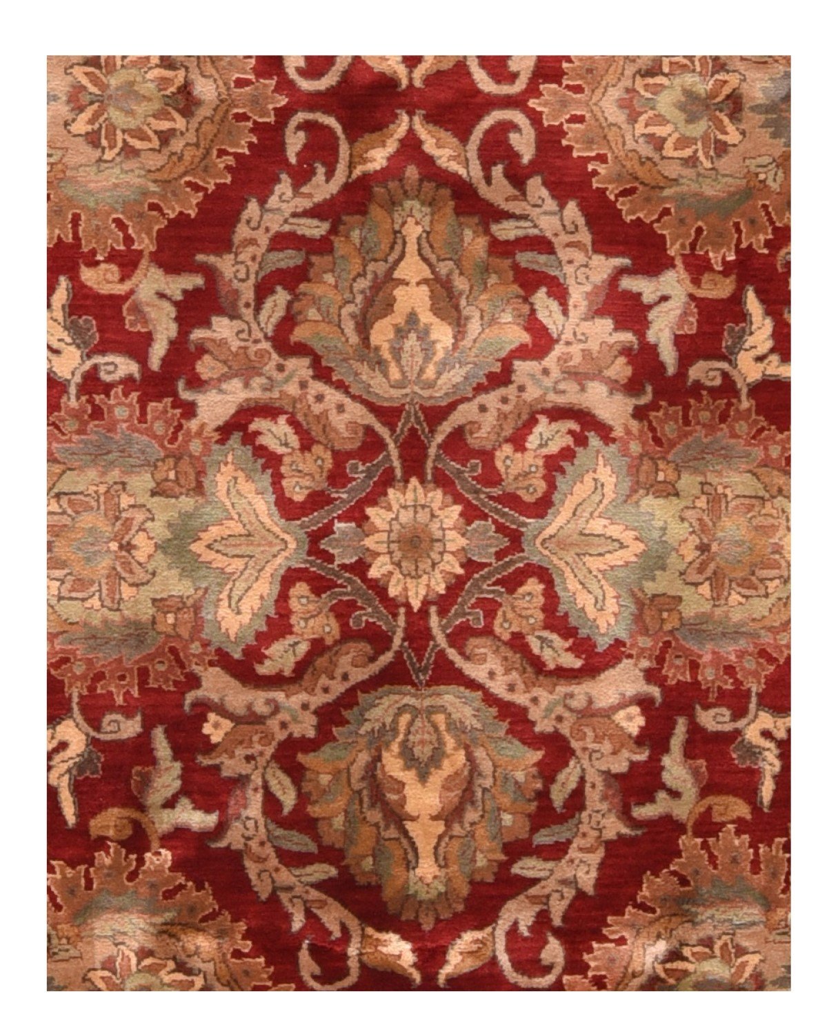 Area Rug 1677