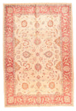 Area Rug 1683