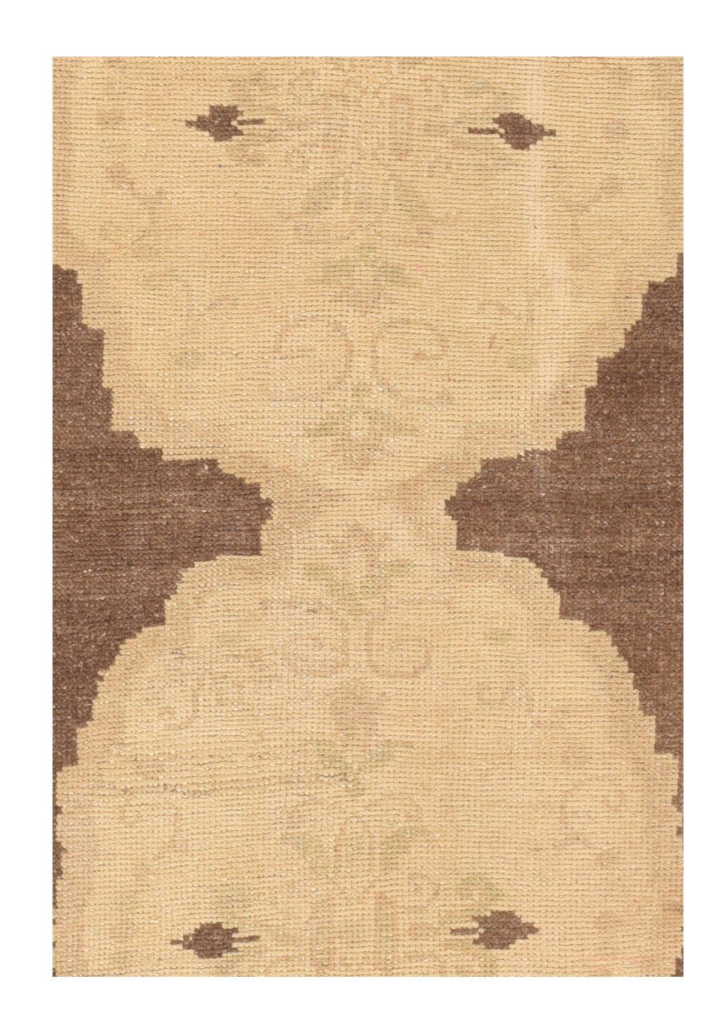 Area Rug 1699