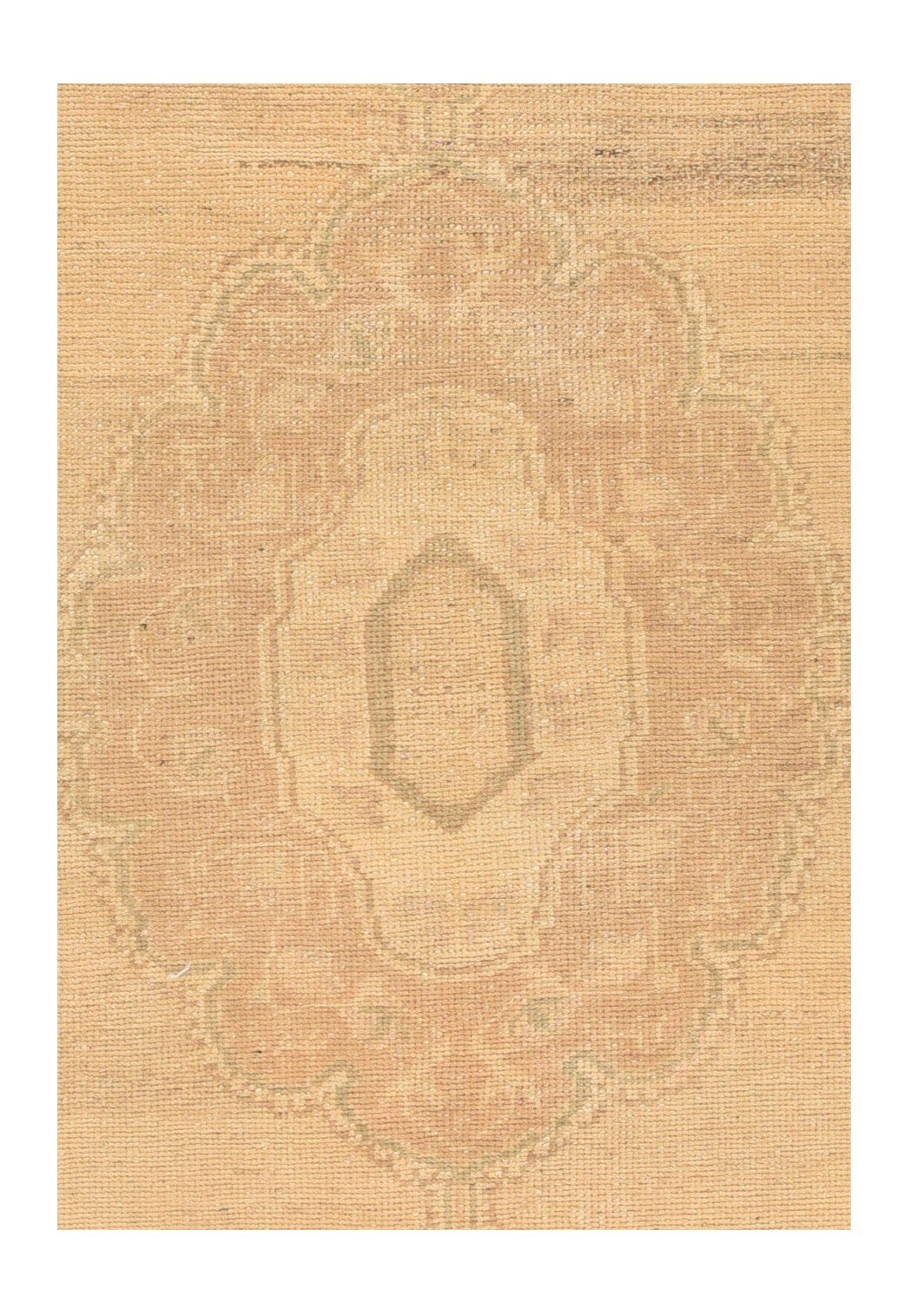 Area Rug 1704