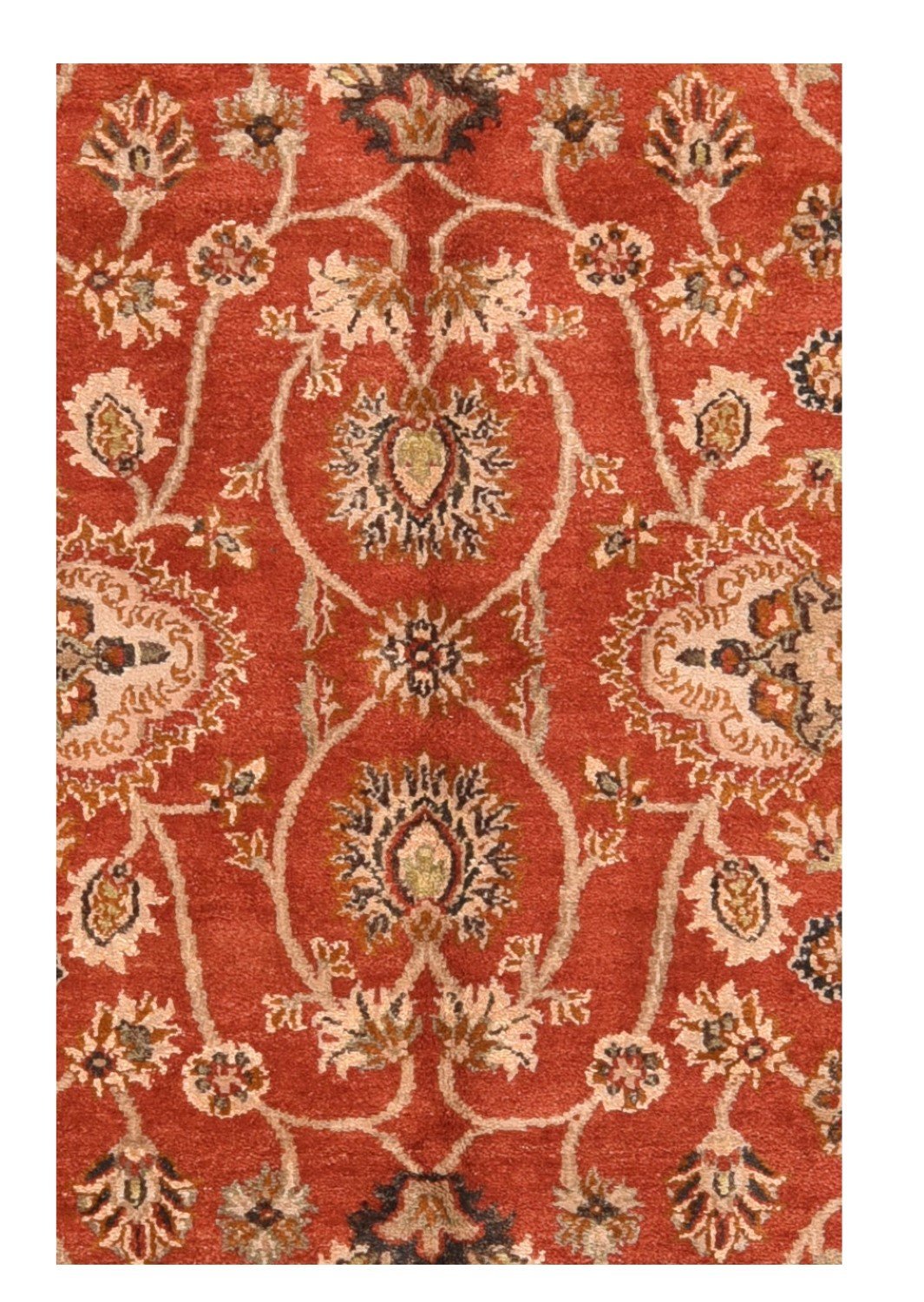 Area Rug 1733
